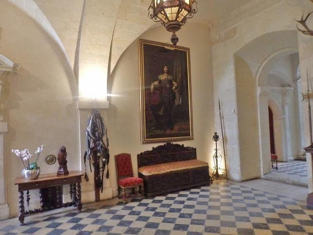 149 CHATEAU DE BRISSAC MAINE ET LOIRE 2016 N2_000008.jpg